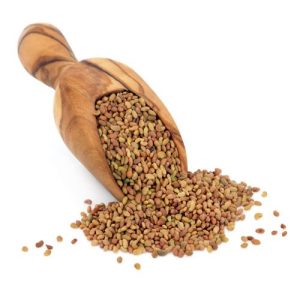 Raw alfalfa sprouting seed