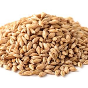 Raw barley sprouting seed