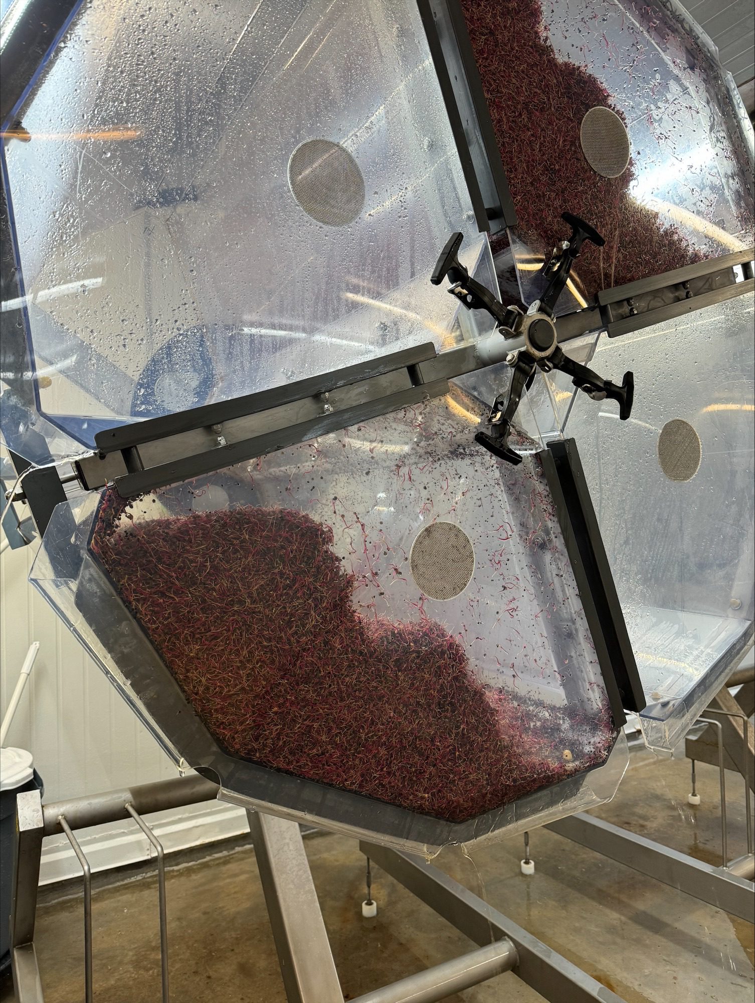 Beet Growing in Rota Tech