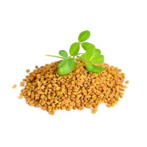 Raw fenugreek sprouting seed