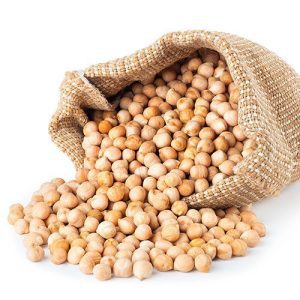 Raw garbanzo bean (chickpea) sprouting seed