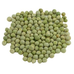 Raw green pea sprouting seed