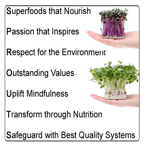 Mission statement image