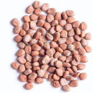 Raw radish sprouting seed