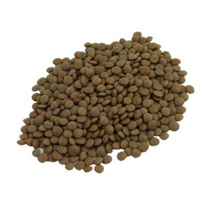 Raw red lentil sprouting seed