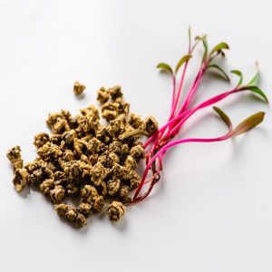 Red beet seed shown alongside beet sprouts