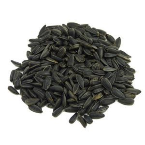 Raw sunflower sprouting seed