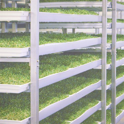 TRAC commercial sprouting system