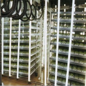 TRAC commercial sprouting system