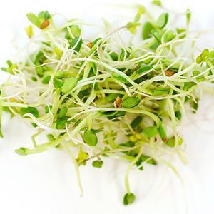 Broccoli and clover sprouting seed mix