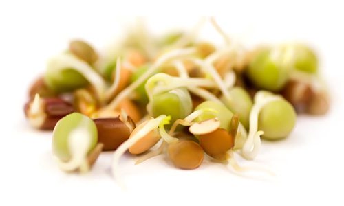 Crispy sprout seed mix