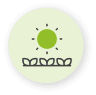 sun and plants icon