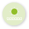 sun and plants icon