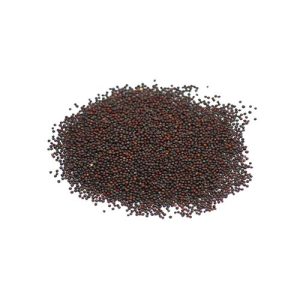 Raw kale sprouting seed