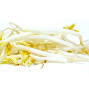 Fresh mung bean sprouts