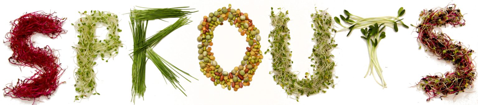 the word SPROUTS spelled out using different types of sprouts